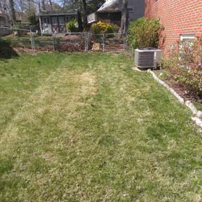 Leaf Removal by Small Time Yard Cutz L.L.C. reviewed on May 11, 2025