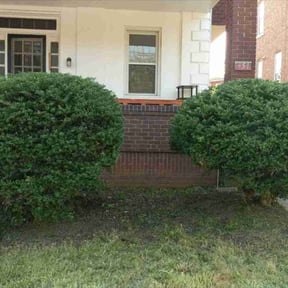 Bush Trimming by D&D All In One reviewed on July 14, 2022
