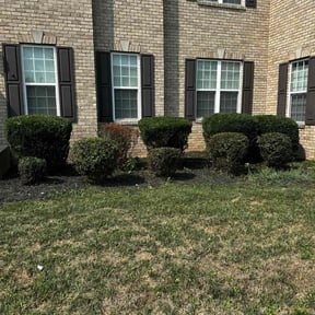 Bush Trimming by R.L.C reviewed on June 7, 2022