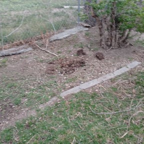 Flower Bed Weeding by Green Guy Landscaping LLC reviewed on May 20, 2022