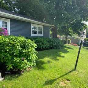 Cleanups by Matt's Lawn Mowing reviewed on July 19, 2022