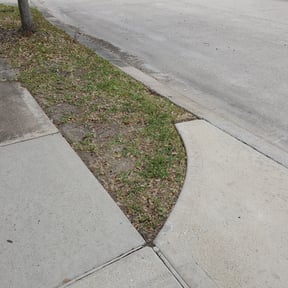 Leaf Removal by EP Remodeling LLC reviewed on August 26, 2024