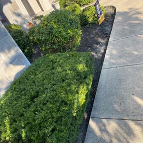 Bush Trimming by Johnson Family Lawn Service reviewed on January 2, 2022