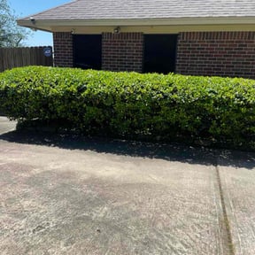 Bush Trimming by Chris’s Lawn Service reviewed on June 4, 2020