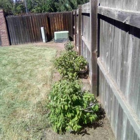 Leaf Removal by Wynstra Lawn Care LLC reviewed on April 4, 2022