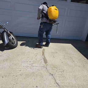 Weeding by Pack Lawncare reviewed on June 2, 2022