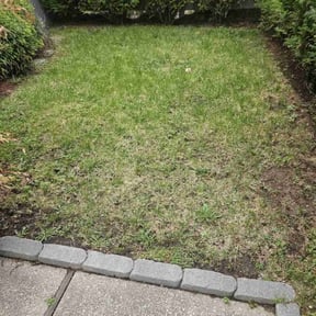 Cleanups by JCM LAWN CARE LLC reviewed on May 26, 2022