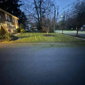 Leaf Removal by A Team Lawncare reviewed on January 19, 2022