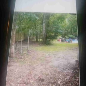 Leaf Removal by Chopp'em Up Lawn Care reviewed on July 26, 2022