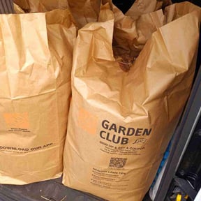 Leaf Removal by Mesa Lawn and Irrigation reviewed on May 4, 2022