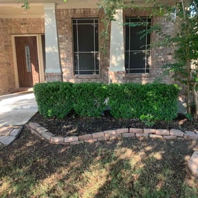 Bush Trimming by Top Gun Cleaners reviewed on October 8, 2024