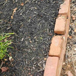 Flower Bed Weeding by ETC Services reviewed on March 29, 2022