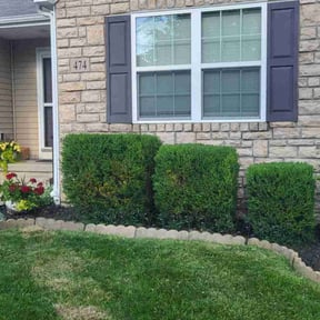 Bush Trimming by Da Munchez/ High 5 landscaping reviewed on May 12, 2022