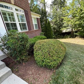 Bush Trimming by A+Plus Maintenance reviewed on May 7, 2022