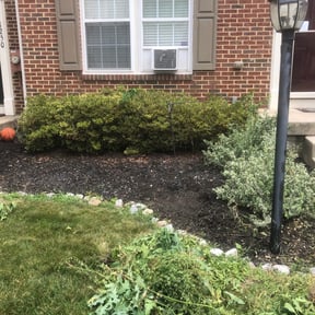 Mulching by Greg&#039;s gardens reviewed on October 24, 2024
