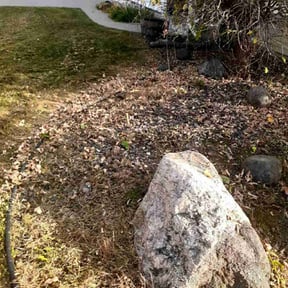 Weeding by Contreras Outdoors reviewed on May 31, 2022