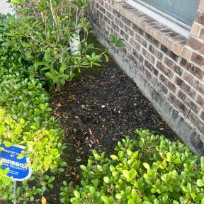 Flower Bed Weeding by Northern Wolf reviewed on July 6, 2022