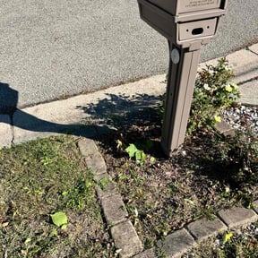 Bush Trimming by Integrity Lawn Care reviewed on December 16, 2021