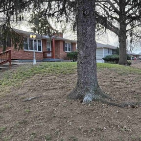 Leaf Removal by ARG landscape &amp; Lawn LLC reviewed on August 14, 2025