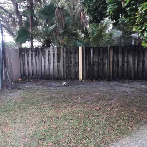 Leaf Removal by Just us landscaping LLC reviewed on September 11, 2021