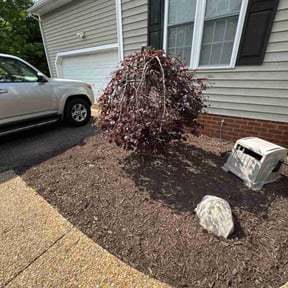 Flower Bed Weeding by Precision Lawn Care of VA reviewed on November 8, 2022