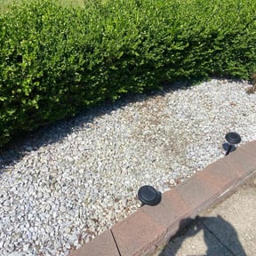 Weeding by Professional lawn care reviewed on July 8, 2022