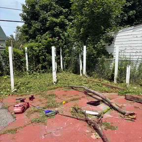 Bush Trimming by MB Williams Lawn Care Services reviewed on November 10, 2023