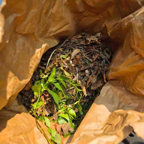 Leaf Removal by Ford year-round Lawn Service reviewed on July 27, 2022