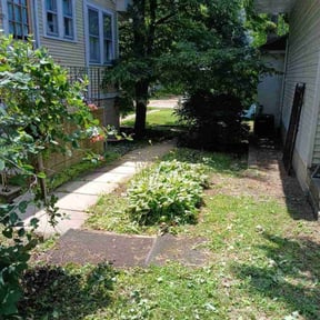 Cleanups by Forever Green Landscape reviewed on June 20, 2022
