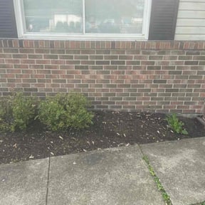 Flower Bed Weeding by Nine Lines Lawn Care reviewed on June 10, 2022
