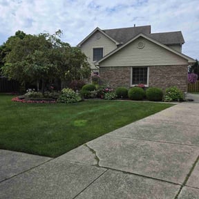 Bush Trimming by Cutting up Lawn and Tree Care reviewed on May 10, 2022