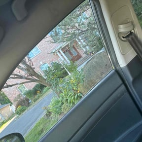Bush Trimming by Sunnyside of Hillsborough reviewed on March 22, 2022