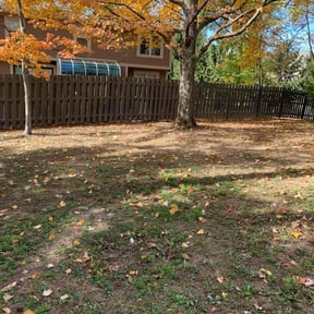 Leaf Removal by Ziolkowski Lawcare reviewed on July 12, 2022