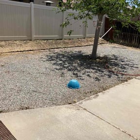 Cleanups by Starr Cleaning and Lawn Care LLC reviewed on June 29, 2025