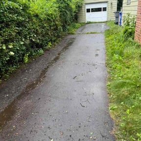 Cleanups by Elegant Lawn Care reviewed on July 31, 2022