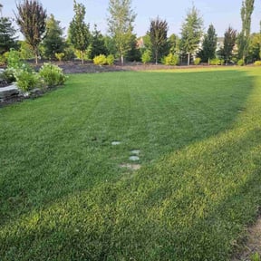 Flower Bed Weeding by BMP reviewed on November 9, 2021