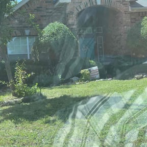 Bush Trimming by Hargett lawn services reviewed on August 5, 2022