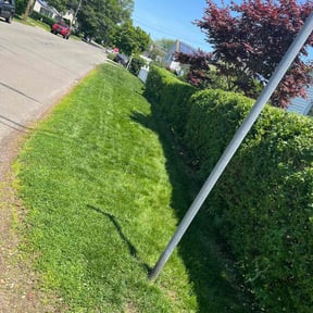 Bush Trimming by L.Avalos landscaping & tree services L.L.C reviewed on July 15, 2022