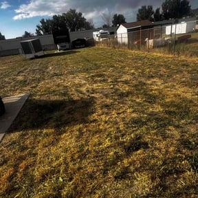Cleanups by Littlefoot Landscaping reviewed on April 29, 2021