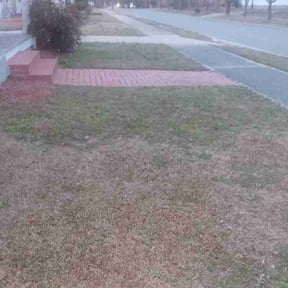 Leaf Removal by Greener Grass Cutting reviewed on April 3, 2022