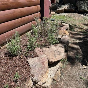 Mulching by ALL PRO LLC reviewed on May 8, 2025