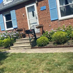 Bush Trimming by Cris Landscaping reviewed on June 23, 2025