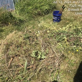 Flower Bed Weeding by Kelsie's lawn pros reviewed on August 24, 2021