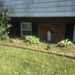 Flower Bed Weeding by Carol & Sammy Lawn care reviewed on July 23, 2022