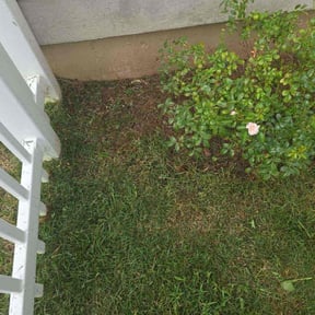 Flower Bed Weeding by Chai reviewed on May 20, 2022