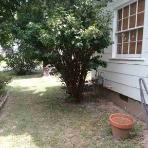 Bush Trimming by Bright's Hauling and Lawncare reviewed on January 9, 2025