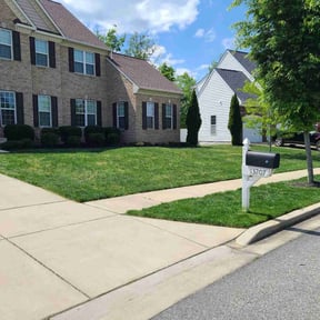 Bush Trimming by Enclave Landscape Management reviewed on April 14, 2022