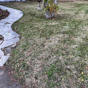 Leaf Removal by JS lawn care and home services reviewed on August 9, 2022