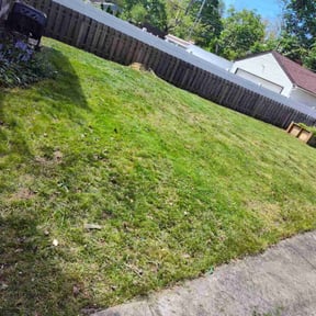 Cleanups by Lawn Fade reviewed on May 12, 2022