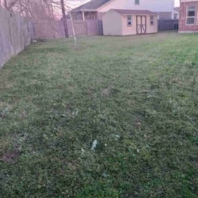 Weeding by A Man and His Machines Lawn Services LLC reviewed on May 21, 2022
